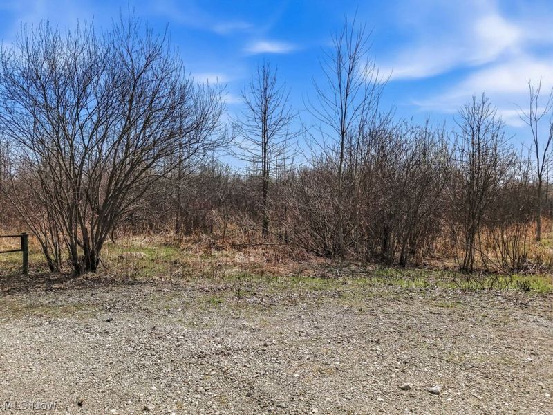 V/L Coitsville-Hubbard Road, Youngstown, OH 44505 Photo 11