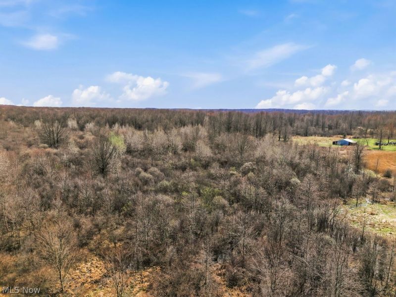 V/L Coitsville-Hubbard Road, Youngstown, OH 44505 Photo 12