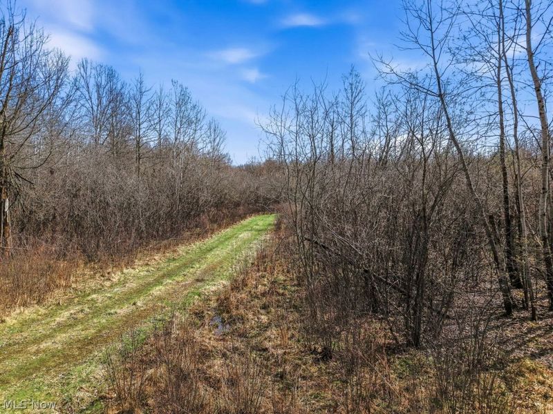 V/L Coitsville-Hubbard Road, Youngstown, OH 44505 Photo 7