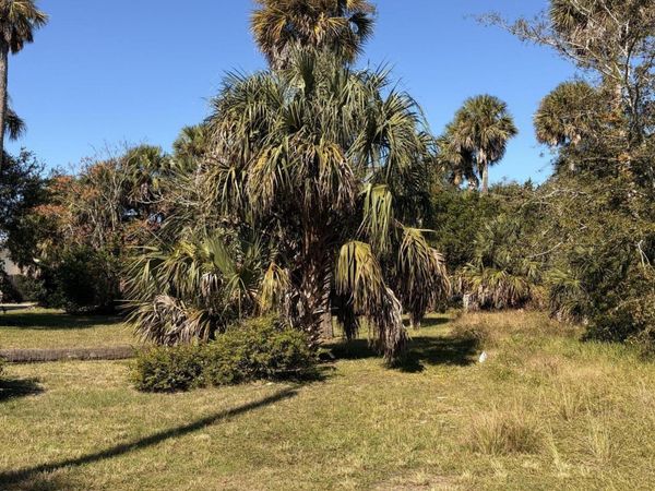 257 Laws Lane, Ormond Beach, FL 32174