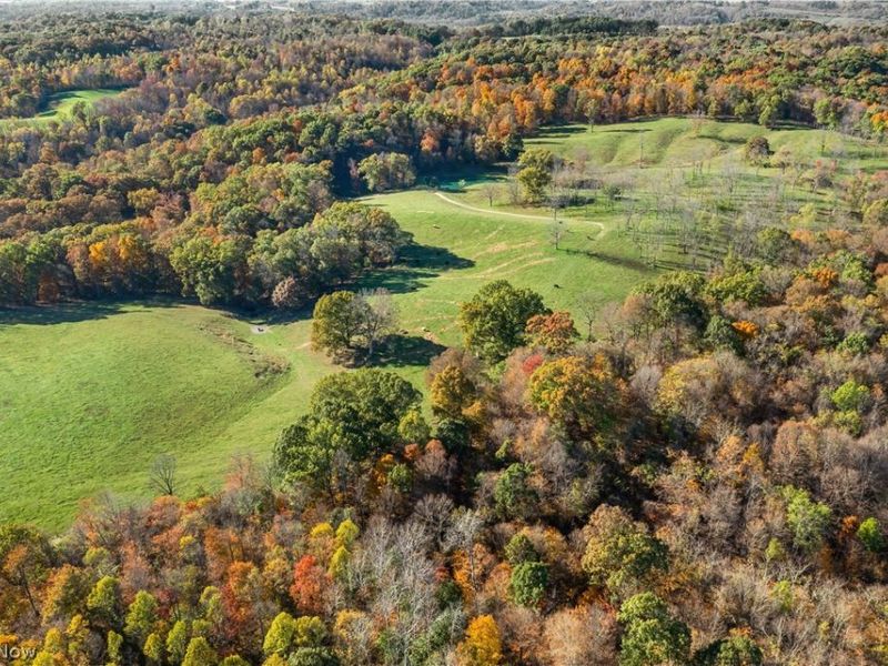 8737 Glenwood Road, Cumberland, OH 43732 Photo 31