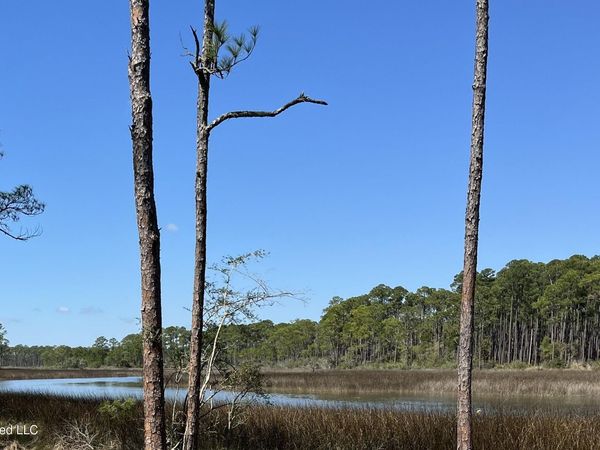 Grand Bature Road, Moss Point, MS 39562