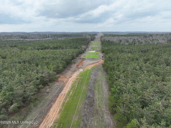 1177 County Road 194 , Blue Springs, MS 38828