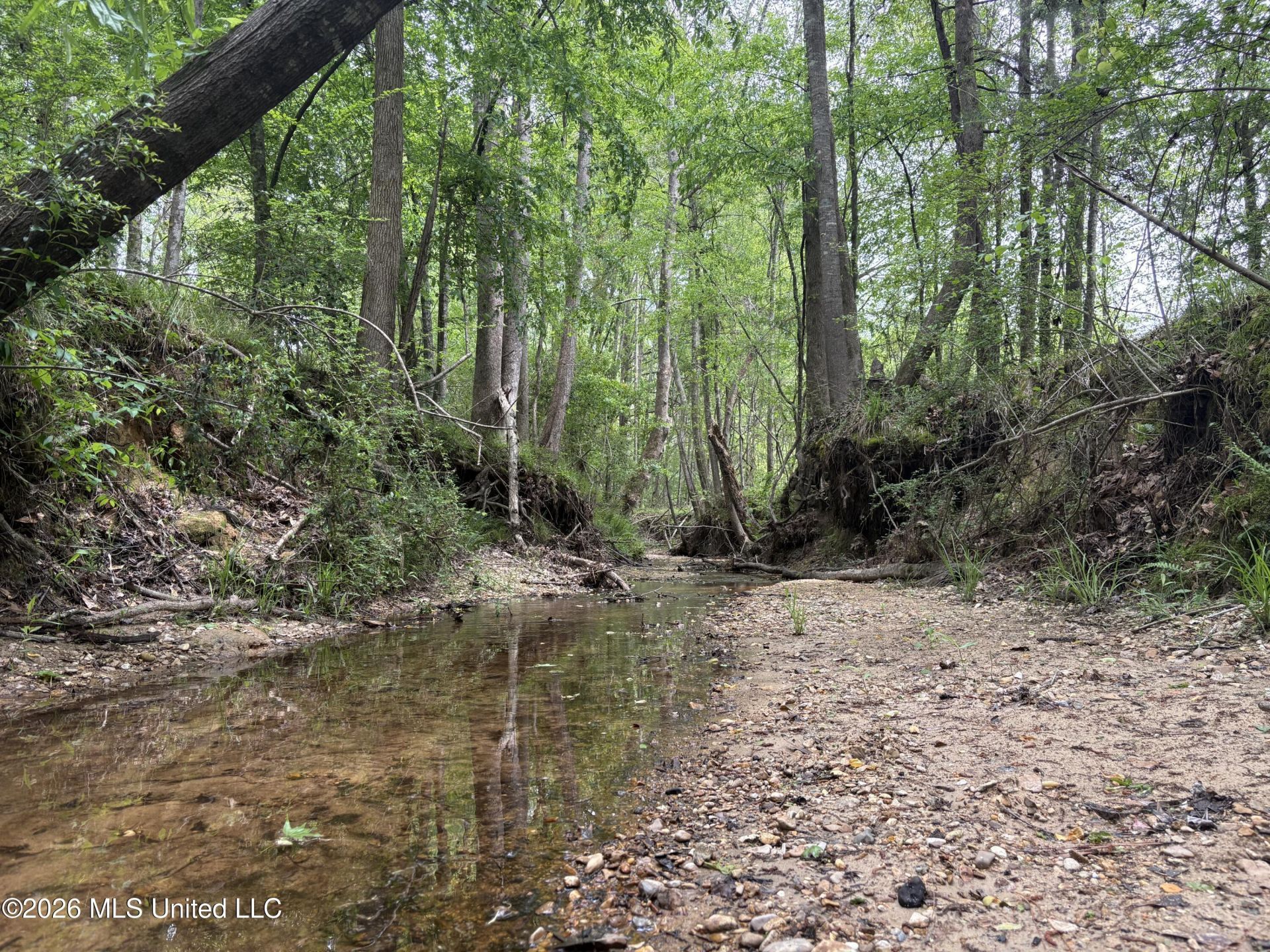 Ne Forest Trail, Brookhaven, MS 39601 Main Photo