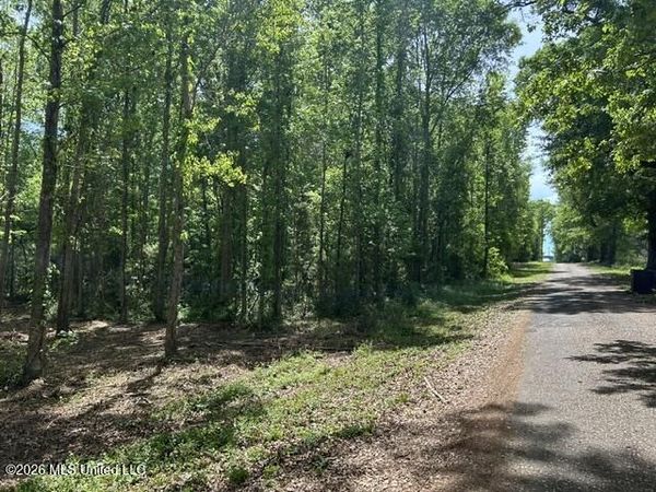 Parcel 3 Stovall Lane, Summit, MS 39666