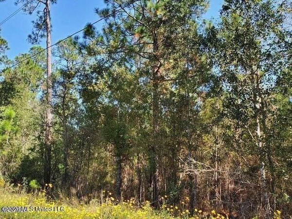 Lots 2-3 Tigris Street, Bay Saint Louis, MS 39520