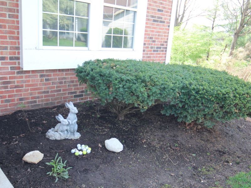 7769 Spyglass Hill Court, Pickerington, OH 43147 Photo 50