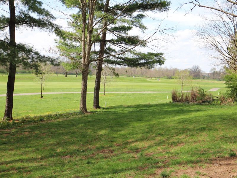 7769 Spyglass Hill Court, Pickerington, OH 43147 Photo 6