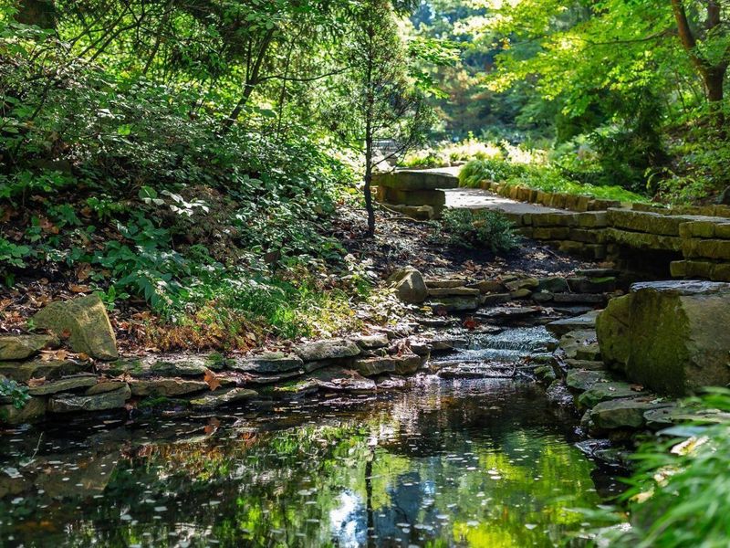 1113 Autumn Creek Circle, Westerville, OH 43081 Photo 56