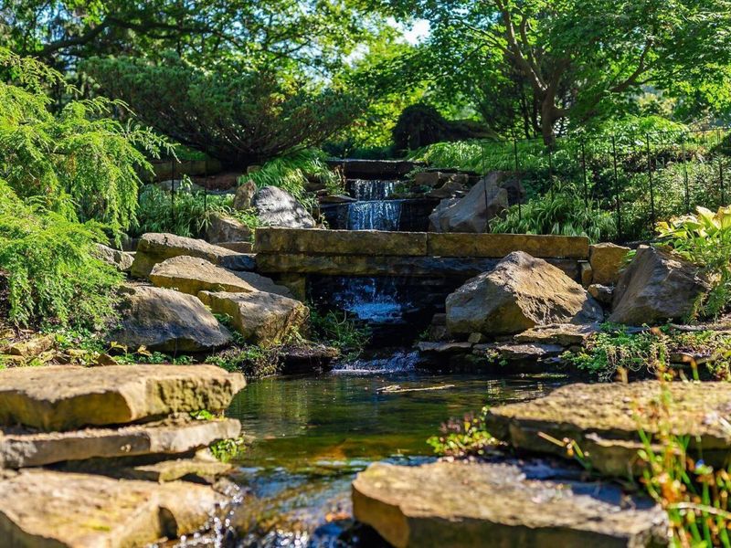 1113 Autumn Creek Circle, Westerville, OH 43081 Photo 57