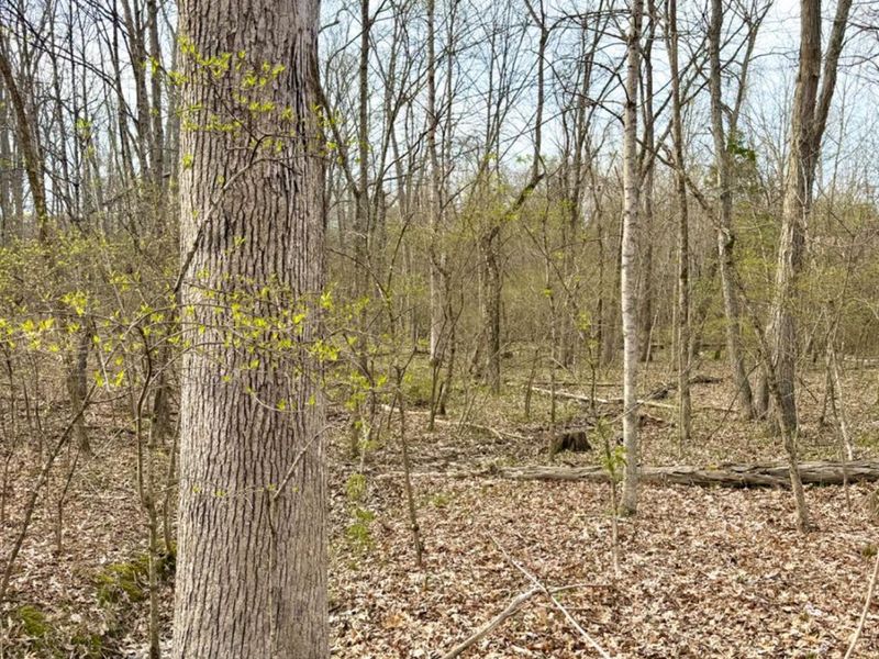 1600 Magee Jones Road, Bratton Twp, OH 45660 Photo 10