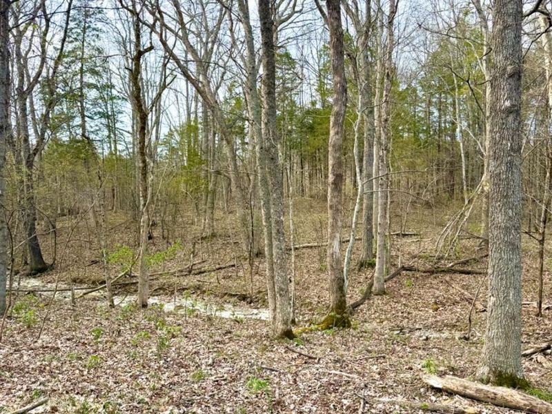 1600 Magee Jones Road, Bratton Twp, OH 45660 Photo 11