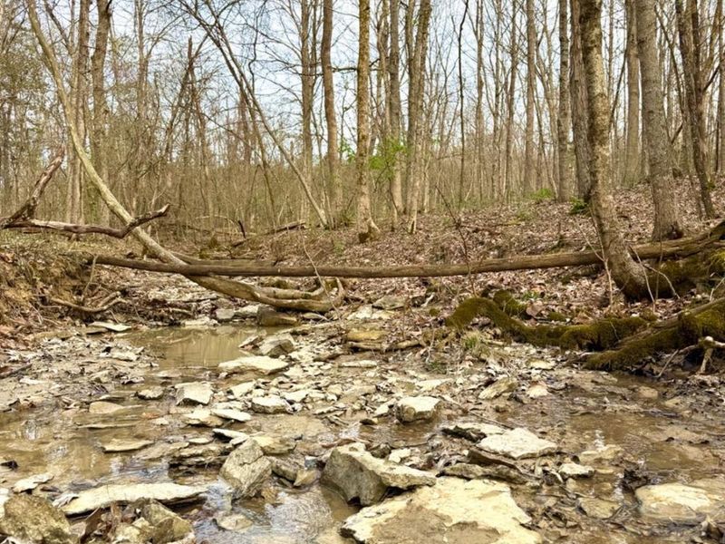 1600 Magee Jones Road, Bratton Twp, OH 45660 Photo 12