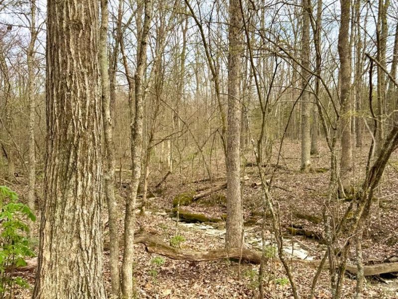 1600 Magee Jones Road, Bratton Twp, OH 45660 Photo 13