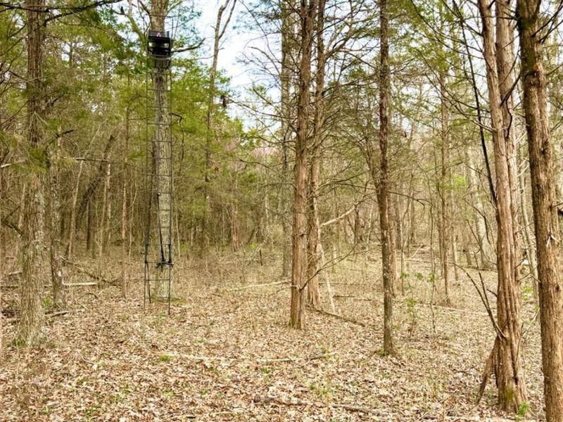 1600 Magee Jones Road, Bratton Twp, OH 45660 Photo 14