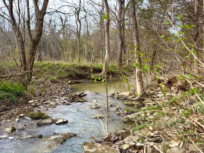 1600 Magee Jones Road, Bratton Twp, OH 45660 Photo 15