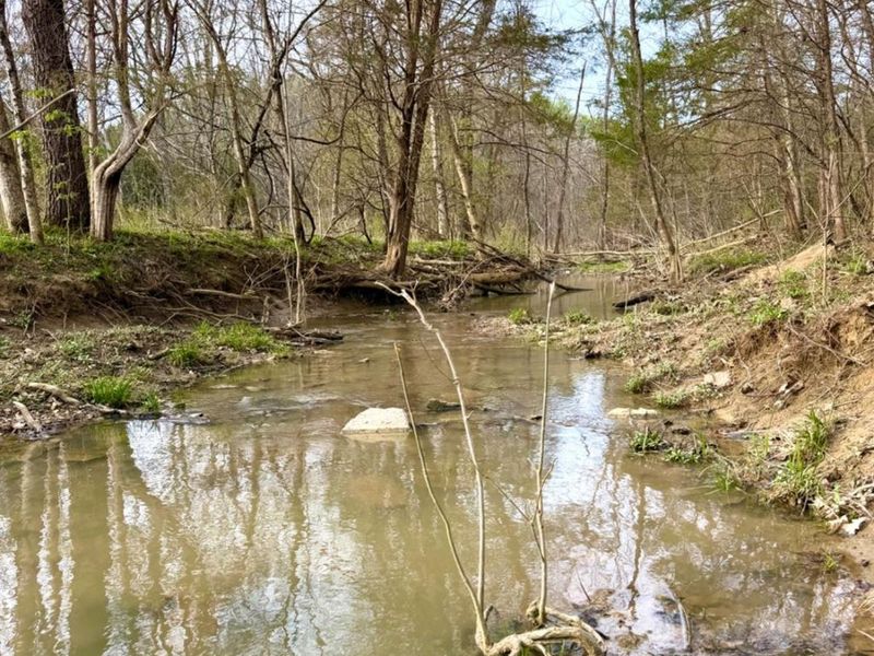 1600 Magee Jones Road, Bratton Twp, OH 45660 Photo 16