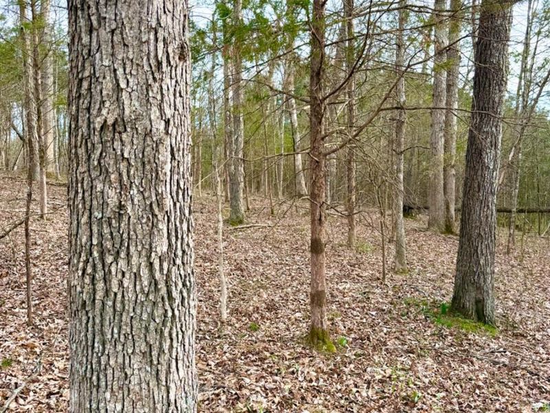 1600 Magee Jones Road, Bratton Twp, OH 45660 Photo 17