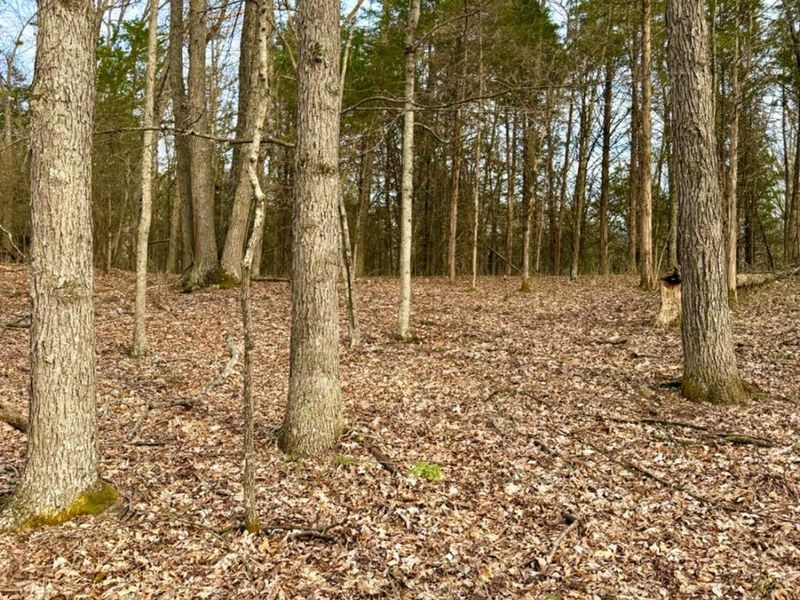 1600 Magee Jones Road, Bratton Twp, OH 45660 Photo 18