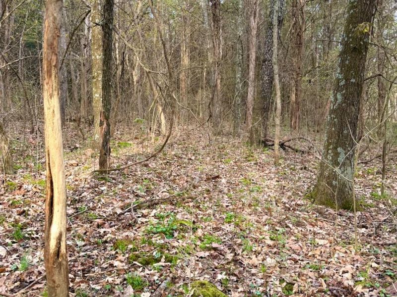 1600 Magee Jones Road, Bratton Twp, OH 45660 Photo 19