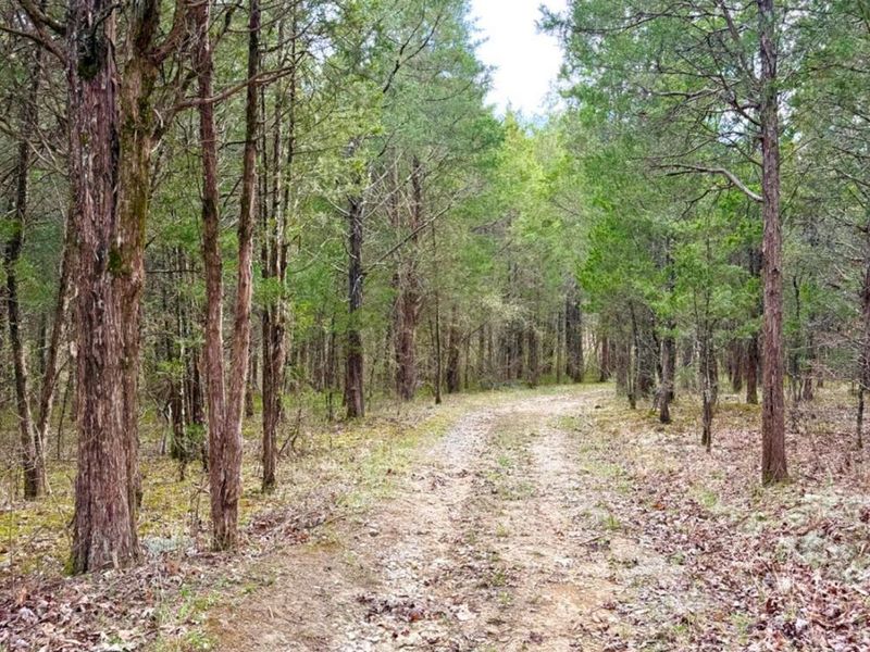 1600 Magee Jones Road, Bratton Twp, OH 45660 Photo 2