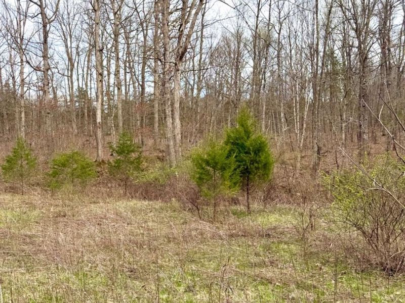 1600 Magee Jones Road, Bratton Twp, OH 45660 Photo 20