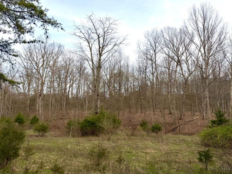 1600 Magee Jones Road, Bratton Twp, OH 45660 Photo 21