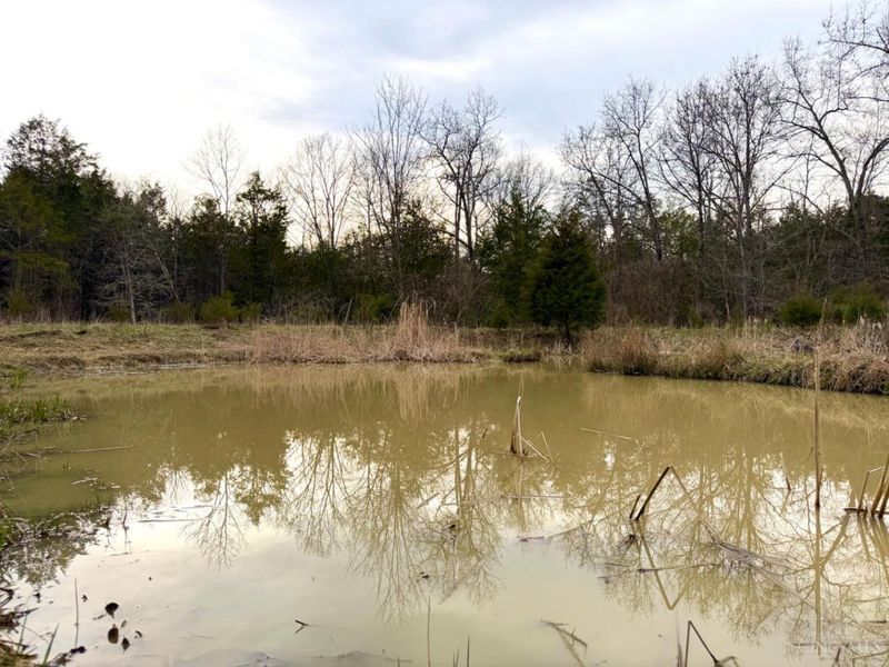 1600 Magee Jones Road, Bratton Twp, OH 45660 Photo 22