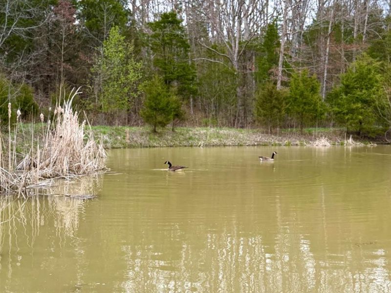 1600 Magee Jones Road, Bratton Twp, OH 45660 Photo 23