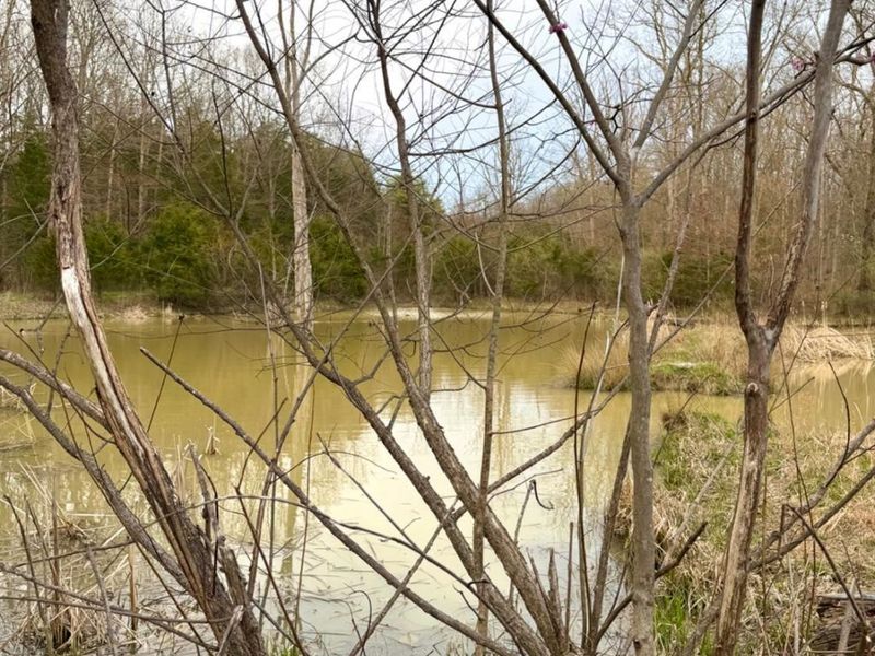 1600 Magee Jones Road, Bratton Twp, OH 45660 Photo 24