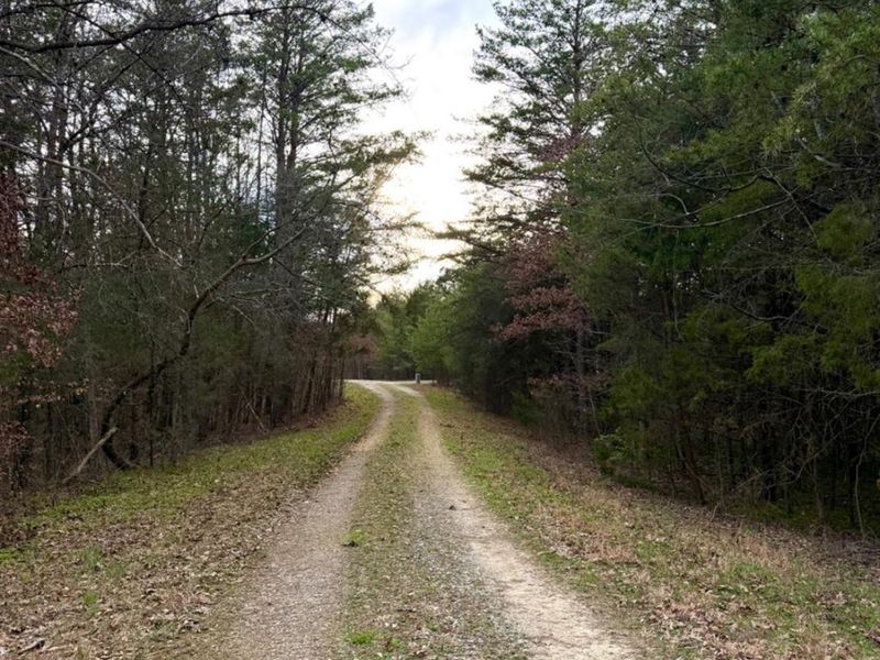 1600 Magee Jones Road, Bratton Twp, OH 45660 Photo 26