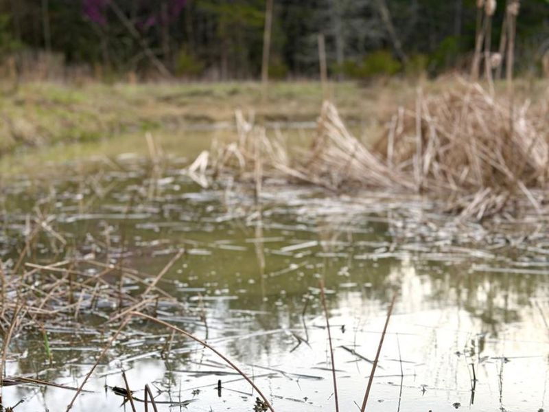 1600 Magee Jones Road, Bratton Twp, OH 45660 Photo 27