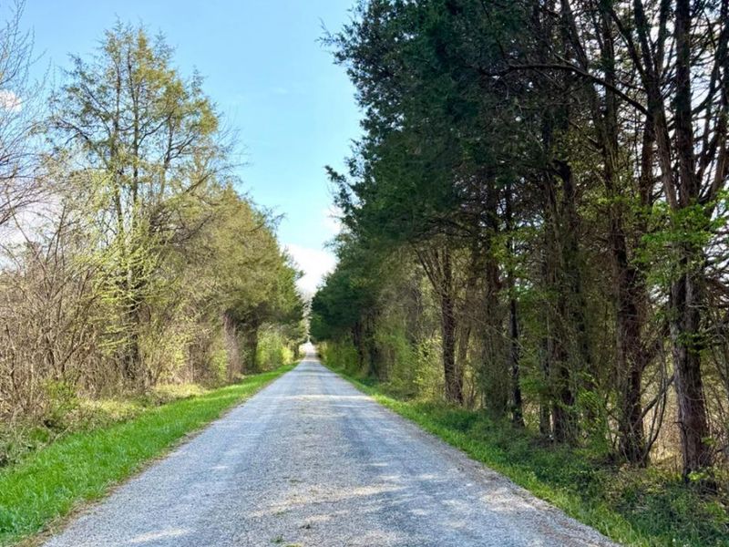 1600 Magee Jones Road, Bratton Twp, OH 45660 Photo 28