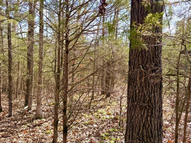 1600 Magee Jones Road, Bratton Twp, OH 45660 Photo 29