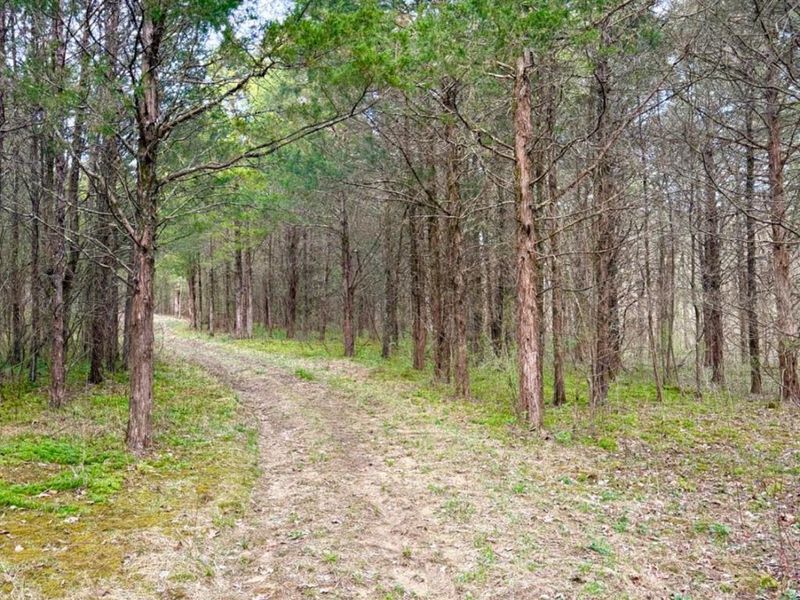 1600 Magee Jones Road, Bratton Twp, OH 45660 Photo 3