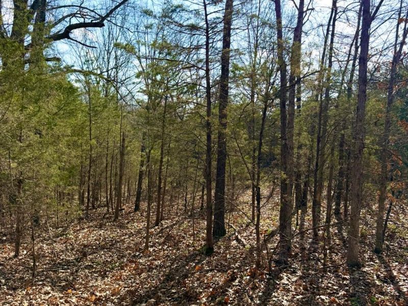 1600 Magee Jones Road, Bratton Twp, OH 45660 Photo 30