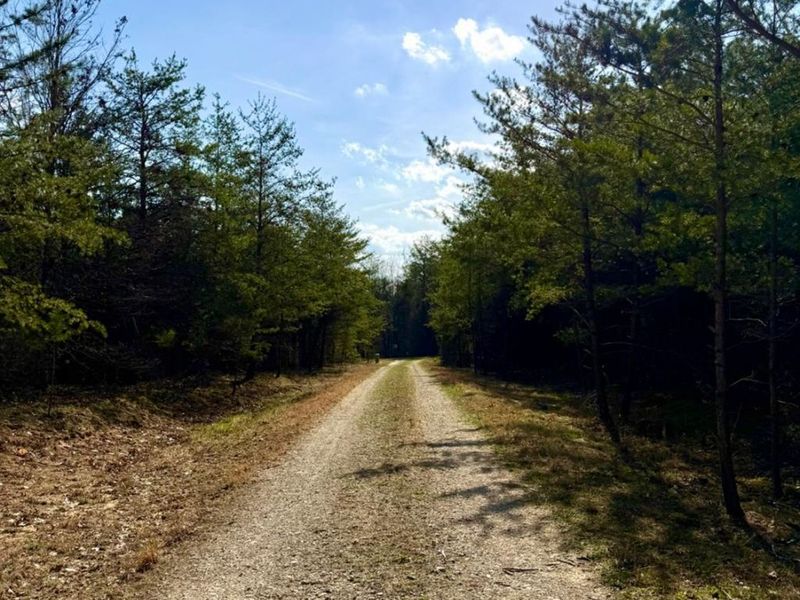 1600 Magee Jones Road, Bratton Twp, OH 45660 Photo 31