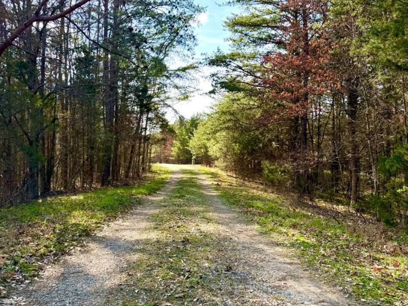 1600 Magee Jones Road, Bratton Twp, OH 45660 Photo 33