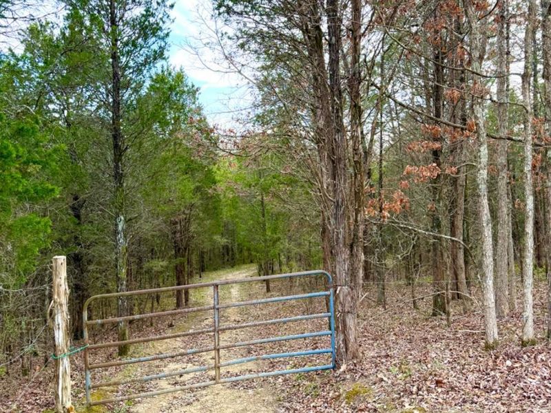 1600 Magee Jones Road, Bratton Twp, OH 45660 Photo 36