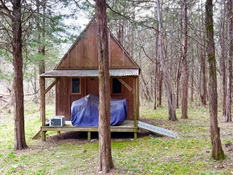 1600 Magee Jones Road, Bratton Twp, OH 45660 Photo 37