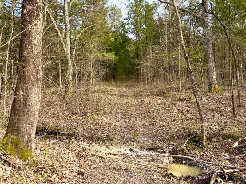 1600 Magee Jones Road, Bratton Twp, OH 45660 Photo 39