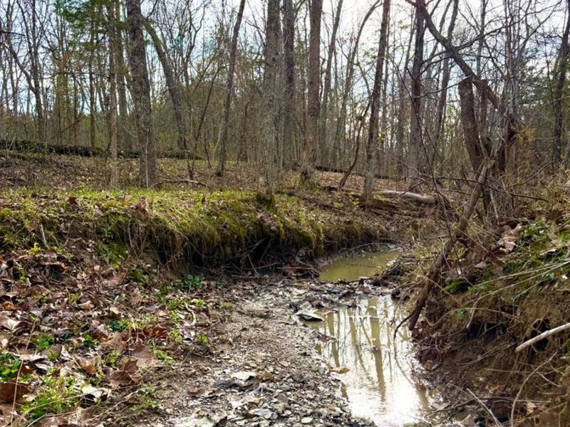 1600 Magee Jones Road, Bratton Twp, OH 45660 Photo 4