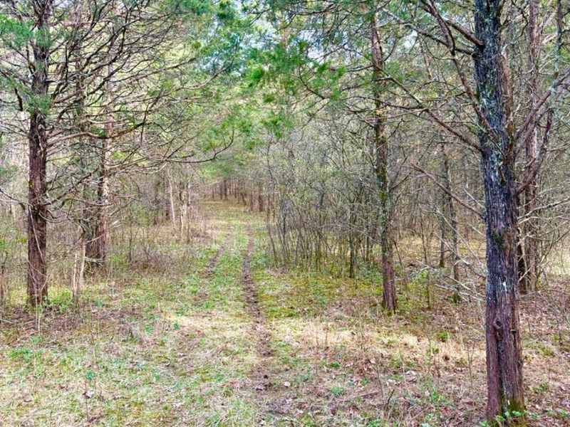 1600 Magee Jones Road, Bratton Twp, OH 45660 Photo 40