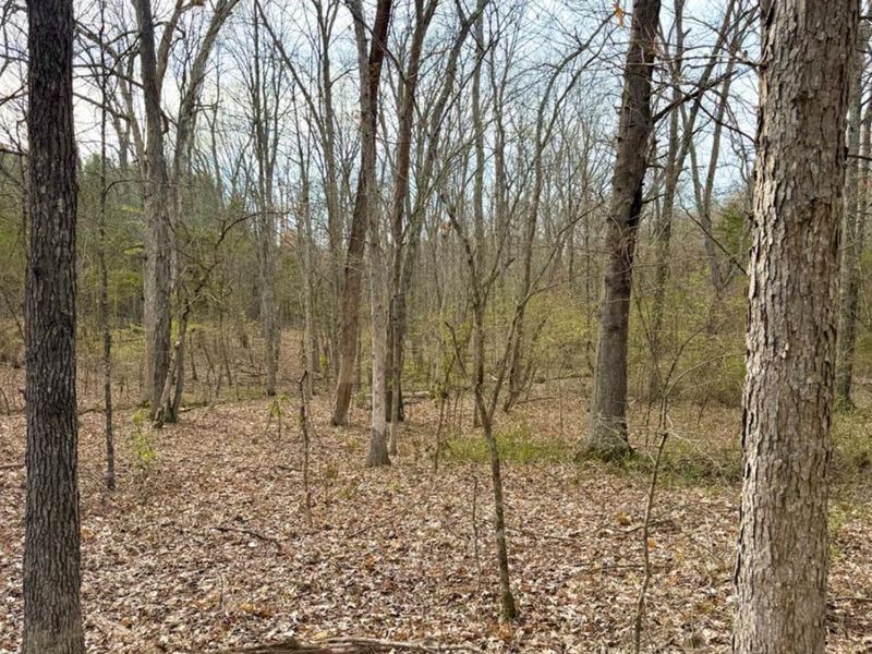 1600 Magee Jones Road, Bratton Twp, OH 45660 Photo 42