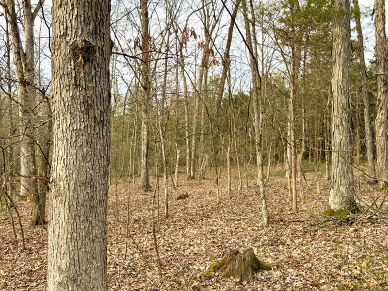 1600 Magee Jones Road, Bratton Twp, OH 45660 Photo 43