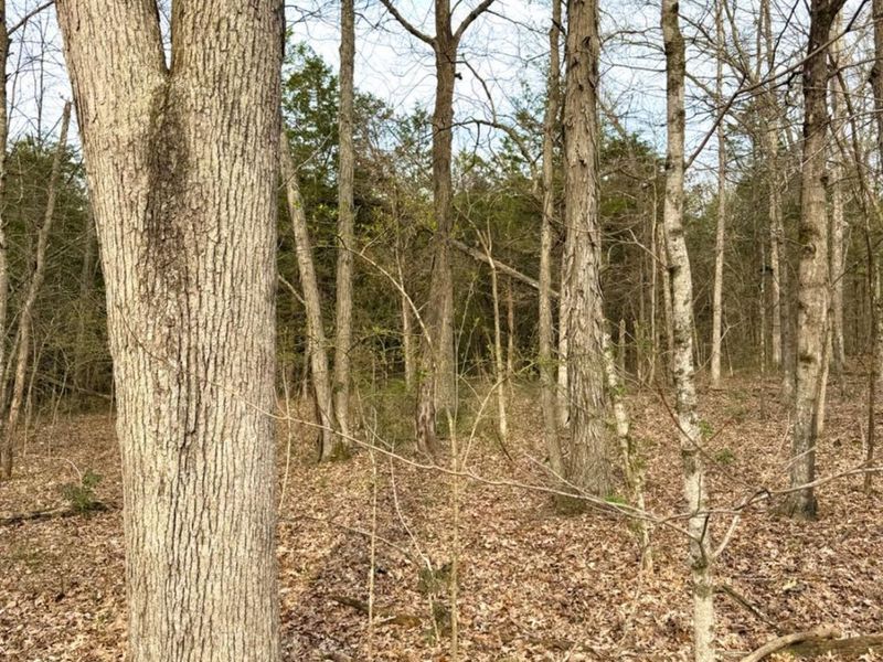 1600 Magee Jones Road, Bratton Twp, OH 45660 Photo 44