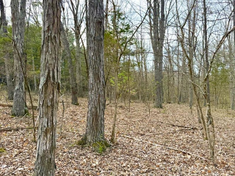 1600 Magee Jones Road, Bratton Twp, OH 45660 Photo 45