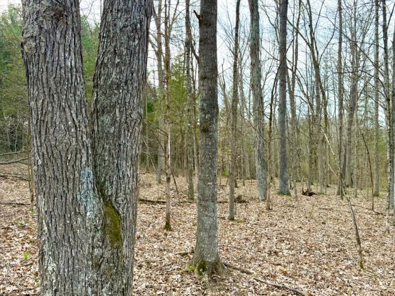 1600 Magee Jones Road, Bratton Twp, OH 45660 Photo 46