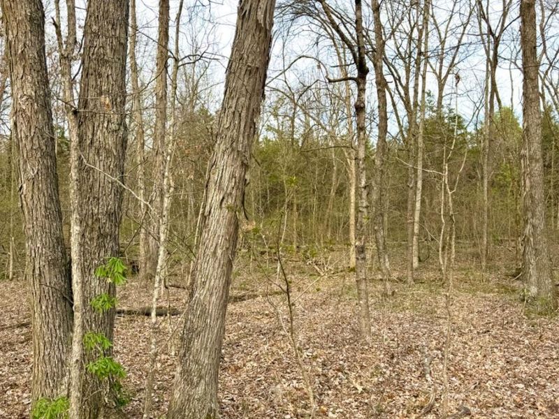 1600 Magee Jones Road, Bratton Twp, OH 45660 Photo 47