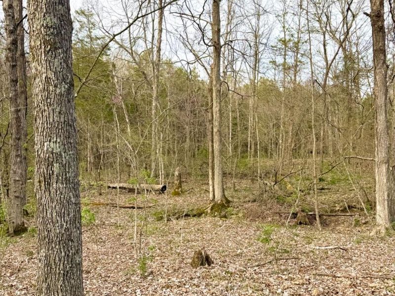 1600 Magee Jones Road, Bratton Twp, OH 45660 Photo 48